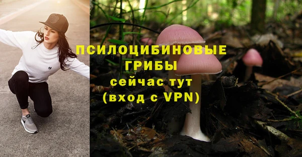 прущие крисы Алексин