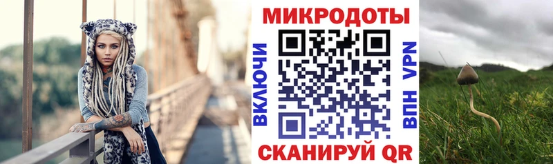 Галлюциногенные грибы Magic Shrooms  кракен сайт  Звенигово 